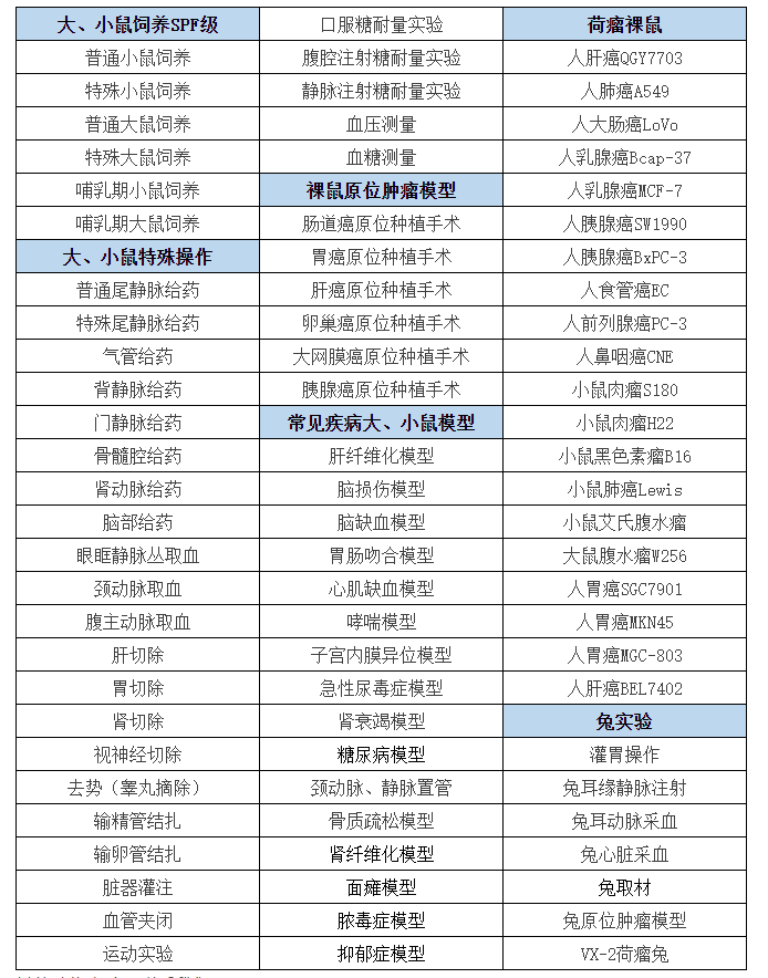 動物模型.png